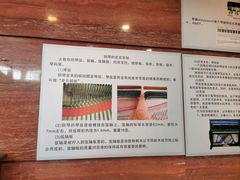 -武汉琴台钢琴博物馆