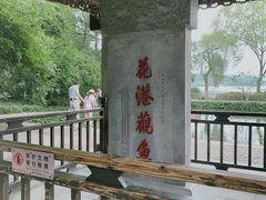 -西湖外事游船(花港观鱼码头)