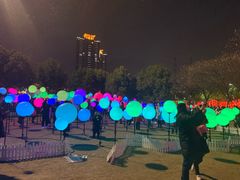 -锦江乐园舞狸花花游园会(夜场专享)
