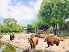 -常州淹城野生动物世界
