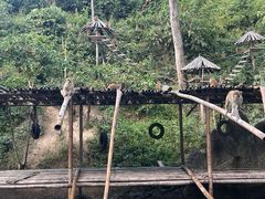 -西双版纳原始森林公园