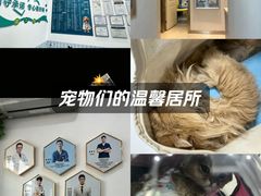 -守诺宠物医院·眼科· 神经外科·爬宠专科(虹口店)
