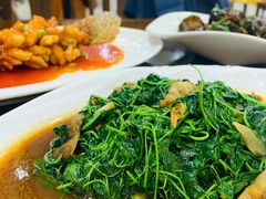 蚌肉金花菜-老苏州茶酒楼