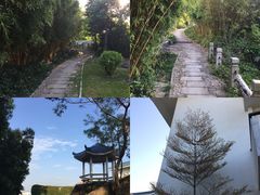 -厦门悦华酒店
