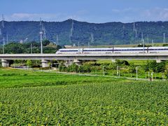 -光明小镇欢乐田园