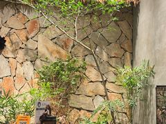 -森SPA·泰式按摩·精油Massage(宝安中心店)