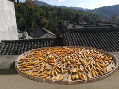 -塔川景区