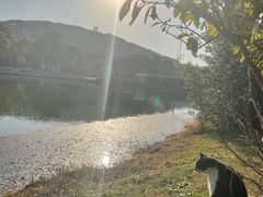 -上海佘山世茂艾美酒店