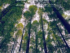 -南京市无想山景区