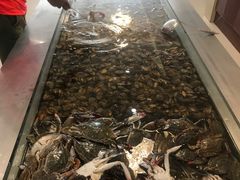 -孙家码头海鲜自助美食城