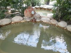 -三江森林温泉度假区