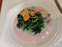 -樱苑(四川北路店)