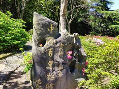 -上海滨江森林公园