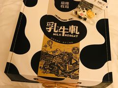 -瑞穗牧场