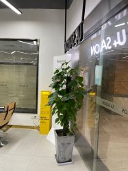 -优加东京秀烫染SALON