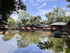 -侨美·唐荔园·40年地道粤菜