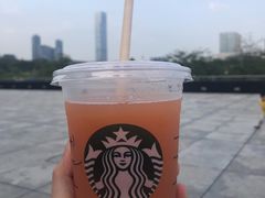冰摇桃桃乌龙-星巴克(深圳音乐厅店)