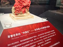 -湖南省地质博物馆