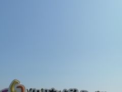 -上海鲜花港