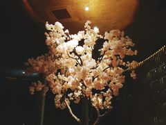 -芥末日本料理(打浦路铂尔曼旗舰店)