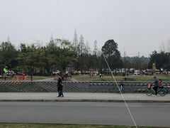 -两河城市森林公园