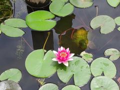 -昆山城市生态森林公园