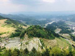 -紫鹊界梯田景区