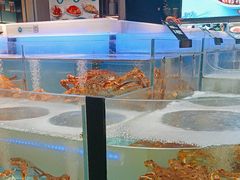 -同庆楼(滨湖万达广场店)