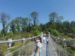 -东莞植物园