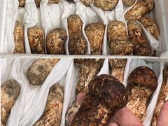 -细村农贸综合市场