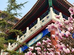 -大明幻境第一城