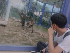 -大连森林动物园