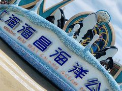 -汉堡王(海昌海洋公园店)