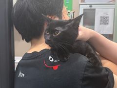-四月宠物医院·猫专科·心脏专科·内科(转塘店)