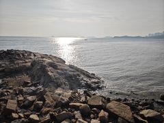 -野狸岛