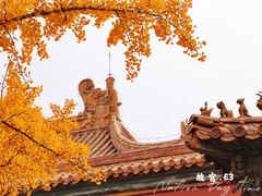-故宫博物院(故宫)
