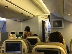 -新加坡航空公司(ION)