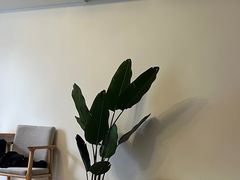 -如家旗下-成都蜀汉东路一品天下地铁站睿柏·云酒店