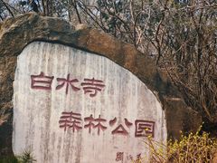 -白水寺森林公园
