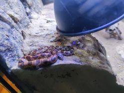 -酷嗒动物文化乐园(cutezoo西溪乐天城店)