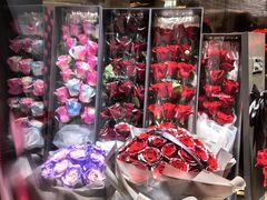 -ROSEONLY诺誓(磐基中心店)