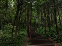 -青城山