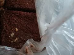 -爱德顺糕点食屋(利民道店)