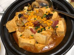 蚝汁海胆豆腐煲-北京厨房(西安SKP店)