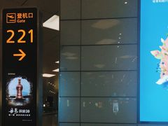-郑州新郑国际机场-T2航站楼
