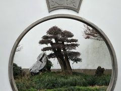 -绮园景区