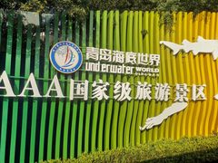 -青岛海底世界-水族馆
