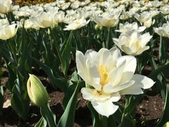 -长春公园(普阳街道)