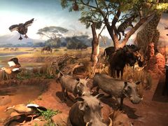 -陕西自然博物馆