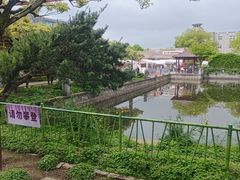 -嘉定紫藤园